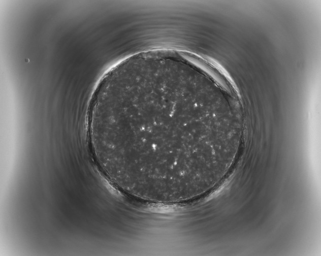 X0000084580831200703161739