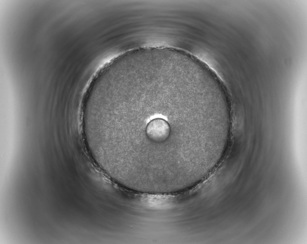 X0000084580832200703161739