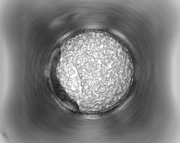 X0000084580833200703161739