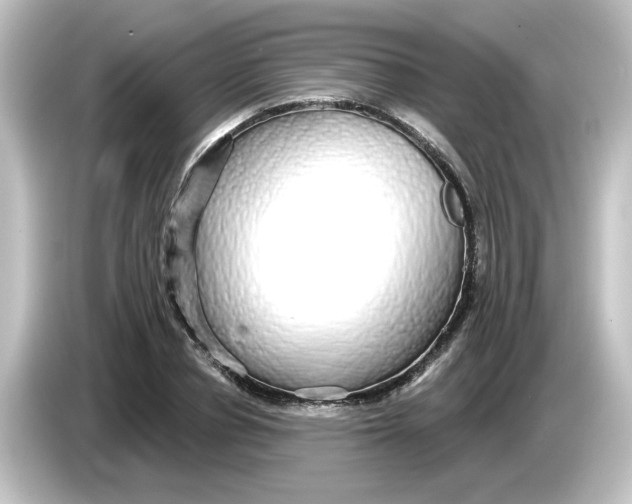 X0000084580834200703161739