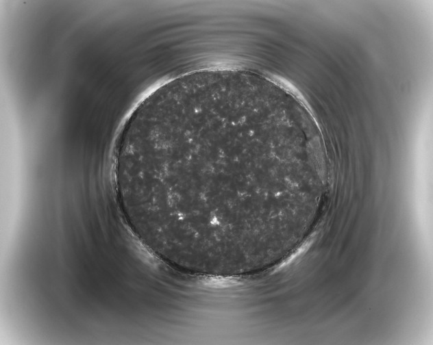 X0000084580835200703161739