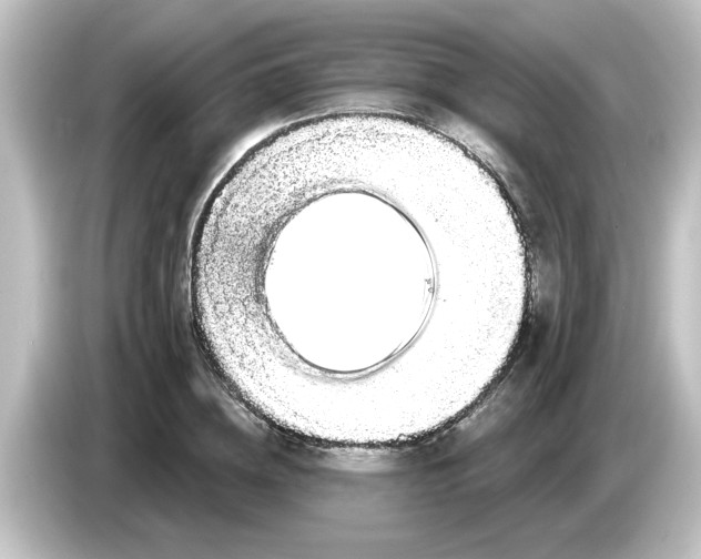 X0000084580836200703161739