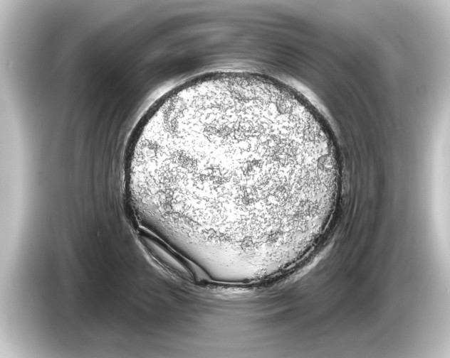 X0000084580837200703161739