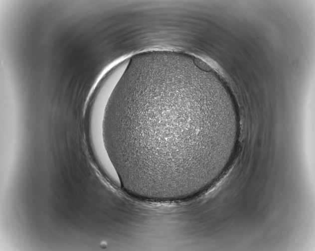 X0000084580838200703161739