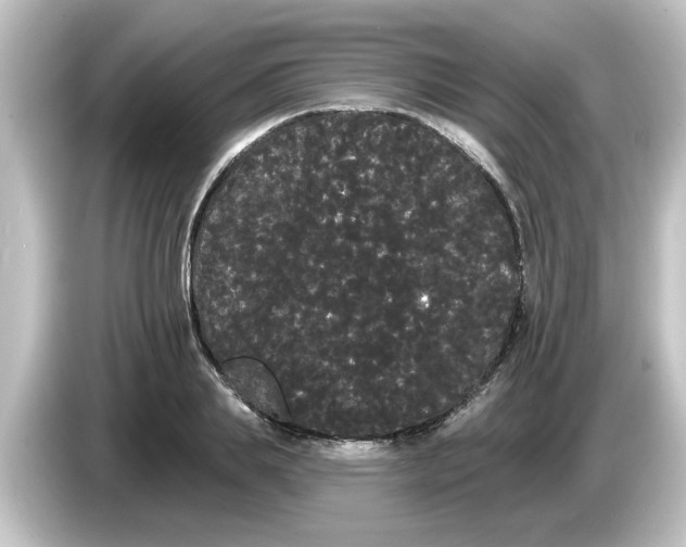 X0000084580839200703161739