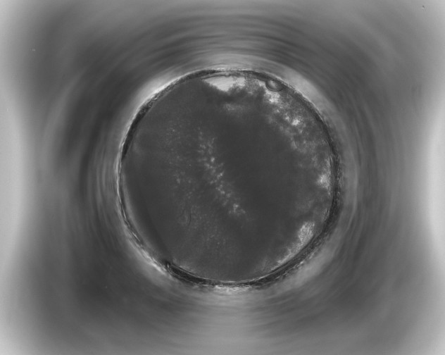 X0000084580840200703161739