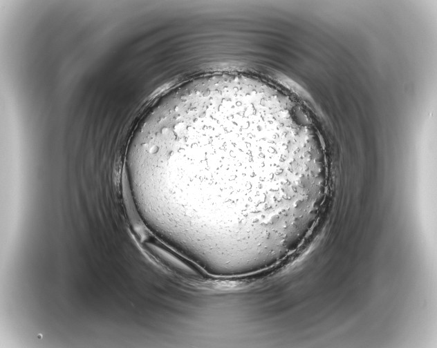 X0000084580841200703161739