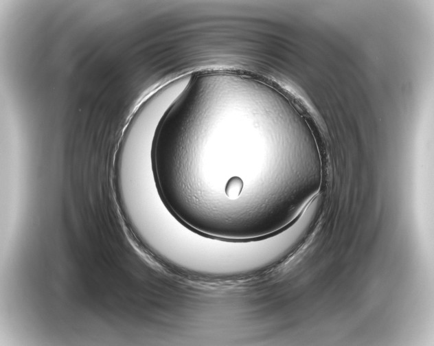 X0000084580842200703161739