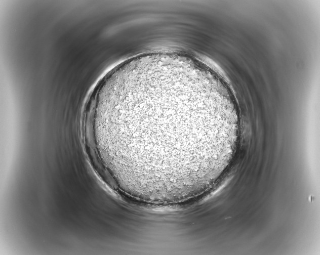 X0000084580843200703161739