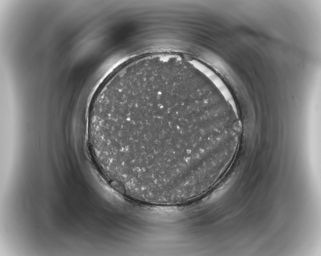 X0000084580844200703161739