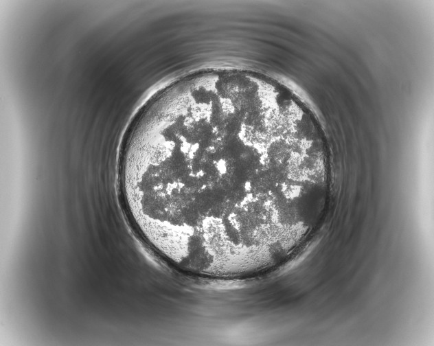 X0000084580845200703161739