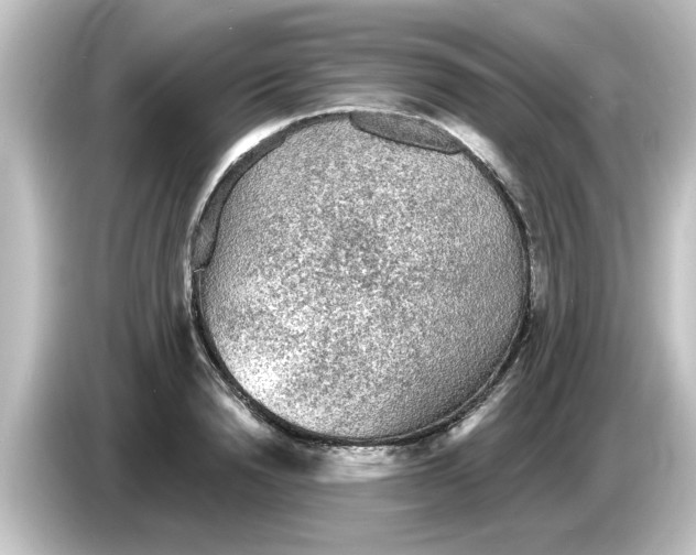 X0000084580846200703161739