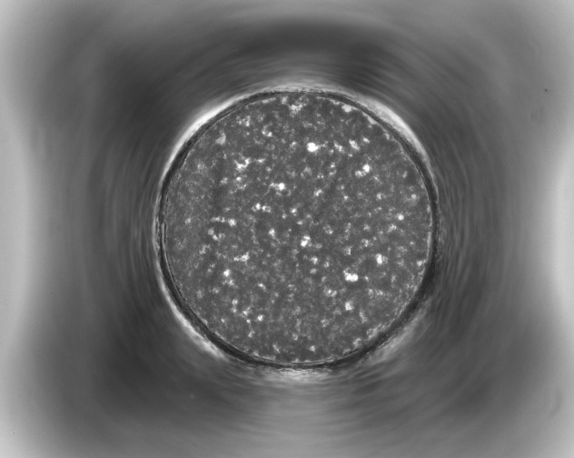 X0000084580847200703161739