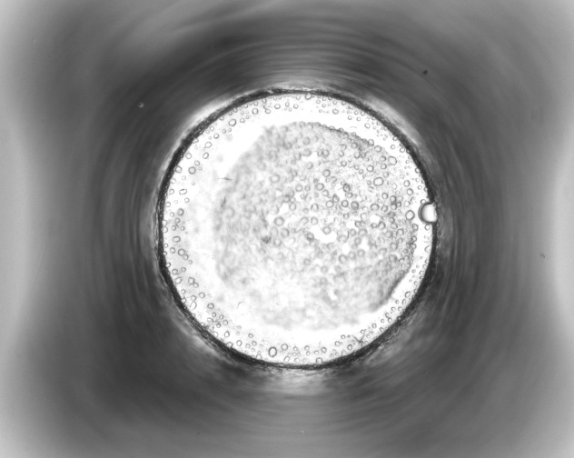 X0000084580848200703161739