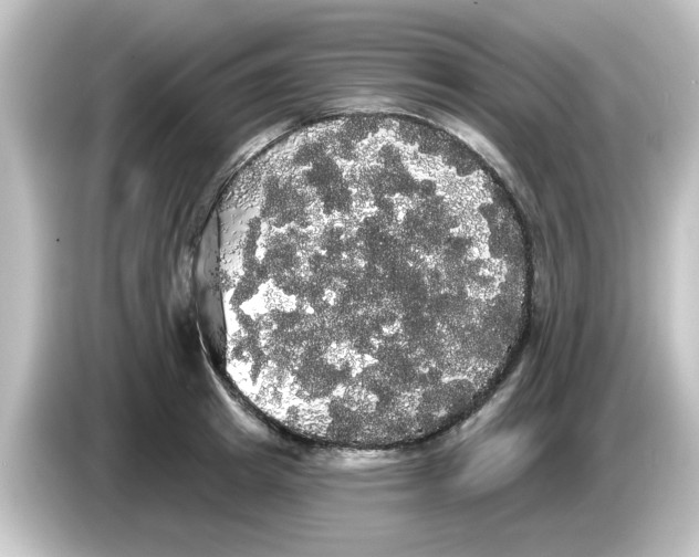 X0000084580849200703161739