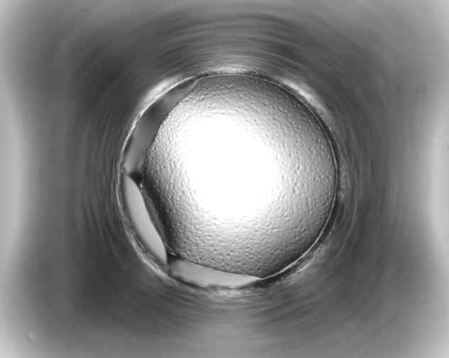 X0000084580850200703161739