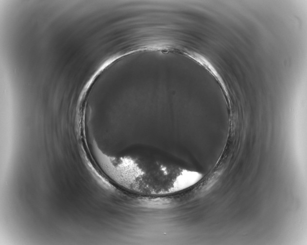 X0000084580851200703161739