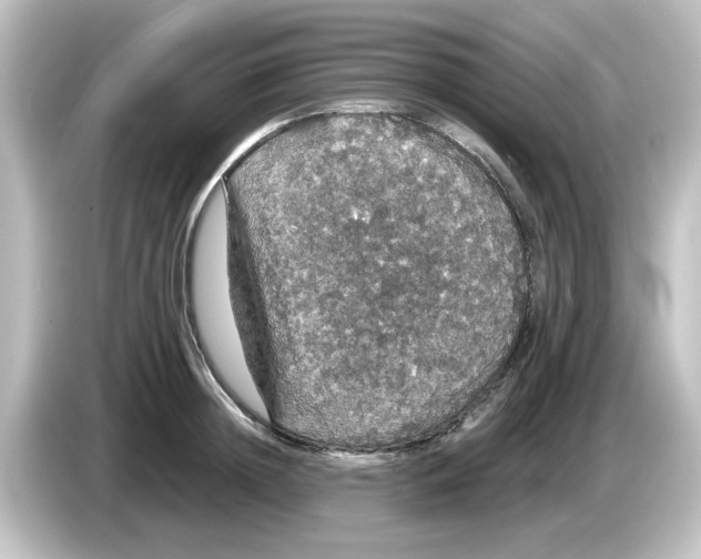 X0000084580852200703161739