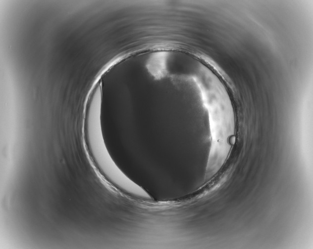 X0000084580853200703161739