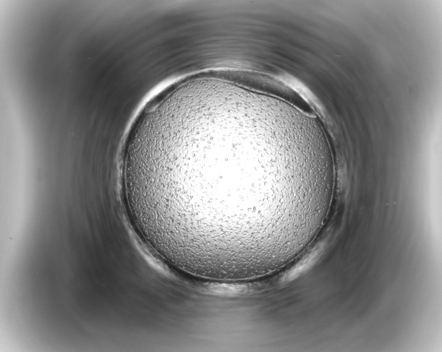 X0000084580854200703161739