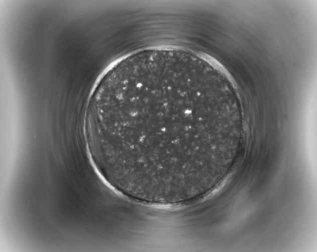X0000084580855200703161739