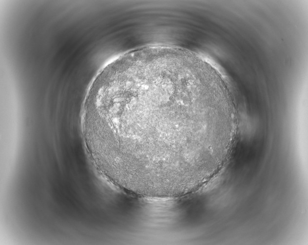 X0000084580856200703161739