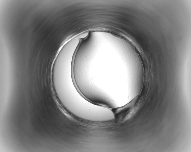 X0000084580858200703161739
