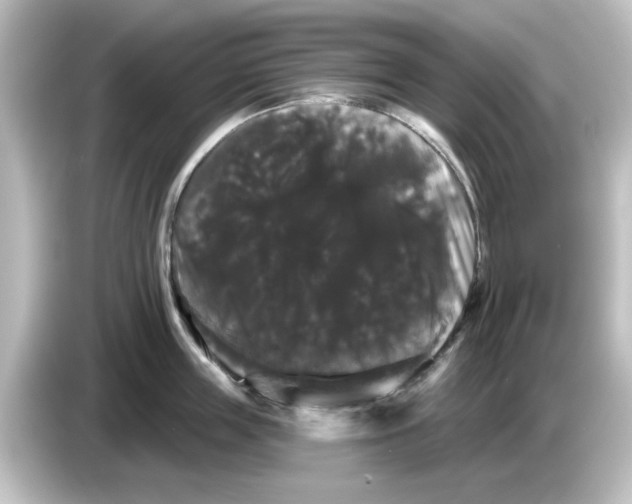 X0000084580859200703161739