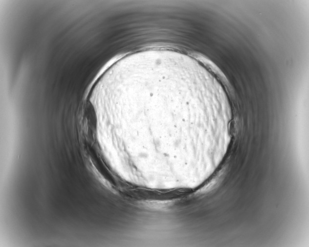 X0000084580860200703161739