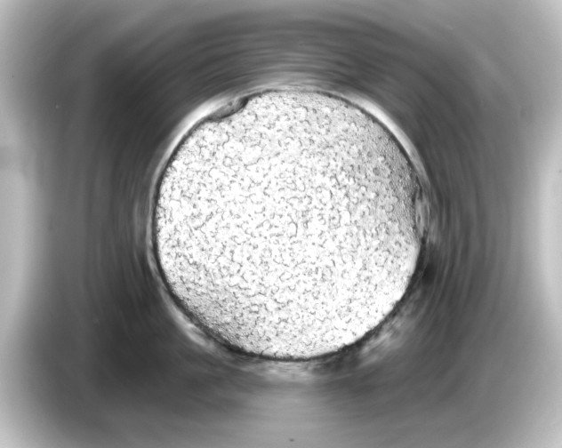 X0000084580861200703161739