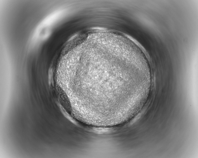 X0000084580862200703161739