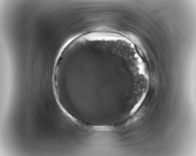X0000084580863200703161739