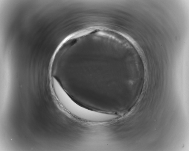X0000084580864200703161739