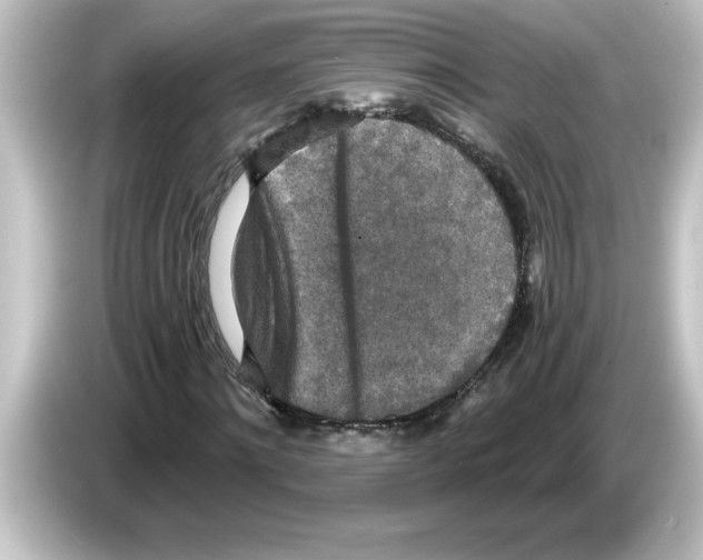 X0000084580868200703161739