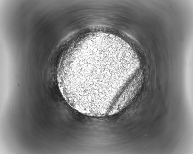 X0000084580870200703161739