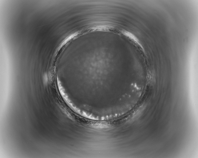 X0000084580874200703161739