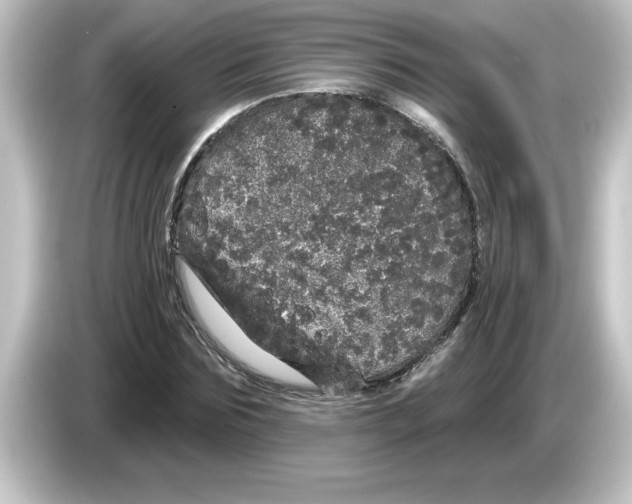 X0000084580875200703161739