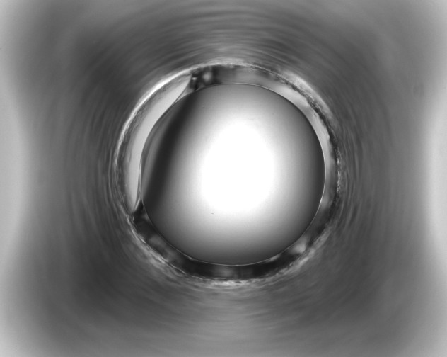 X0000084580876200703161739