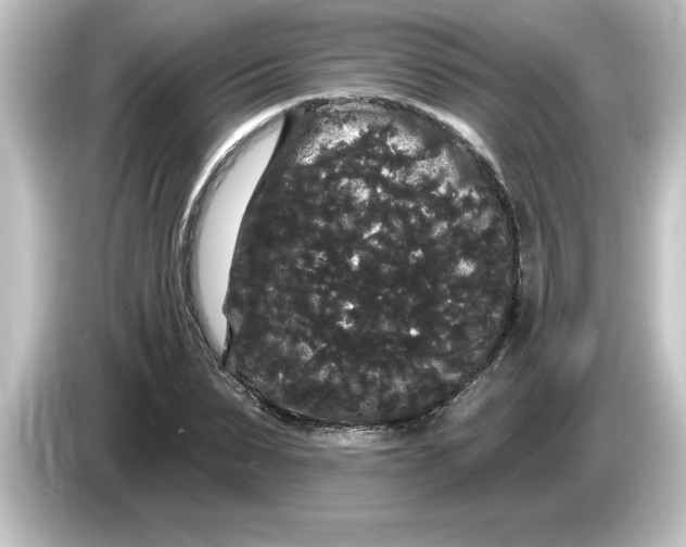 X0000084580879200703161739