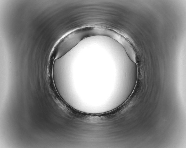 X0000084580880200703161739