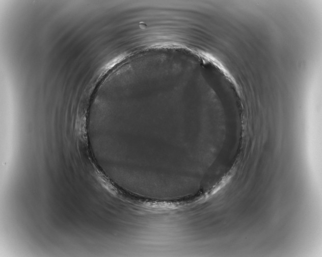 X0000084580881200703161739