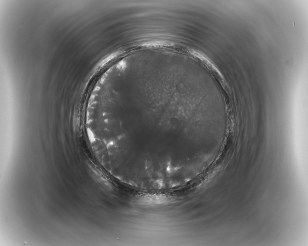 X0000084580882200703161739