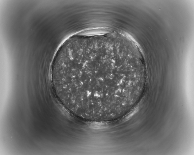 X0000084580883200703161739