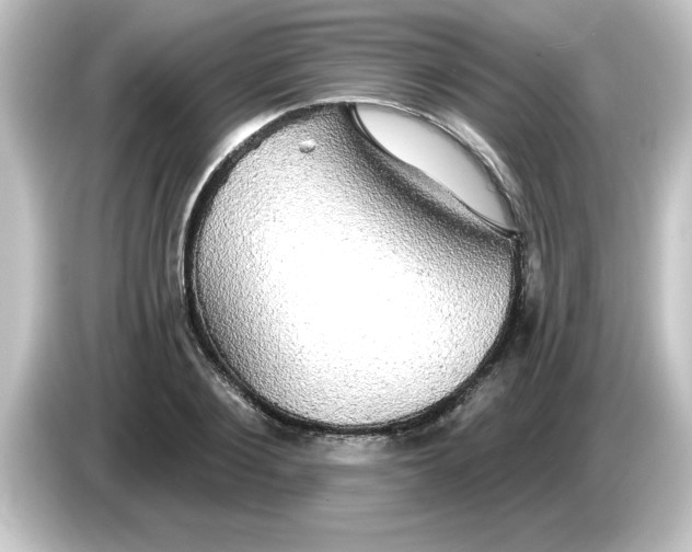 X0000084580884200703161739