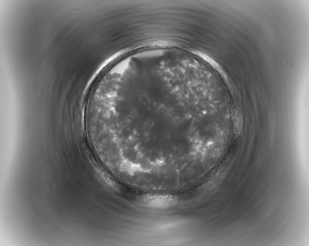 X0000084580886200703161739