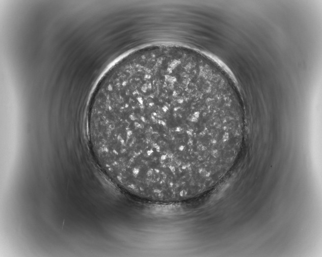 X0000084580887200703161739
