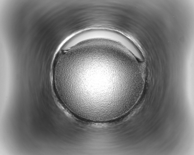 X0000084580888200703161739