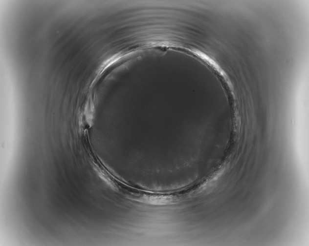 X0000084580889200703161739