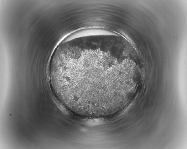 X0000084580891200703161739