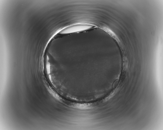 X0000084580892200703161739
